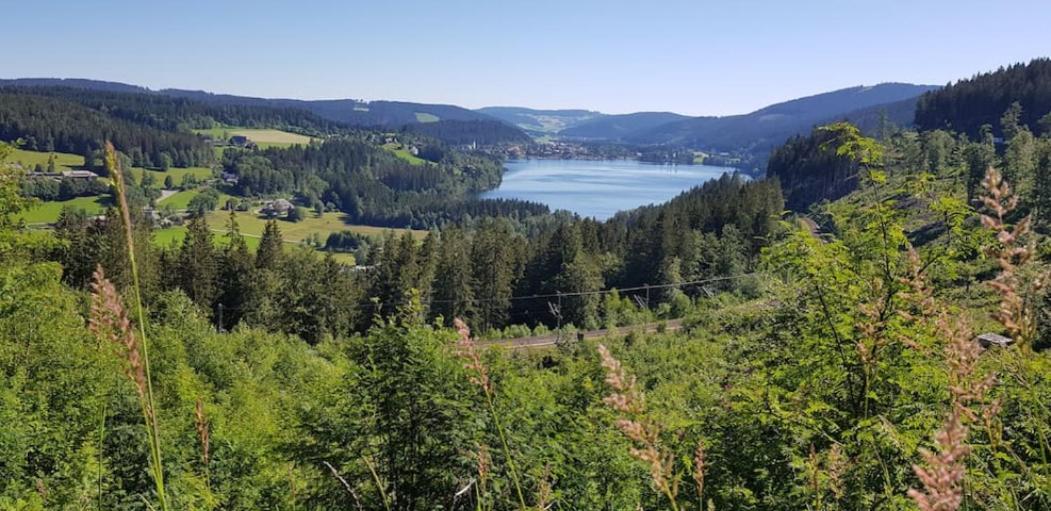 Black Forest Schwarzwaldblick Indoorpool Wifi Natur Komfort Höchenschwand Esterno foto
