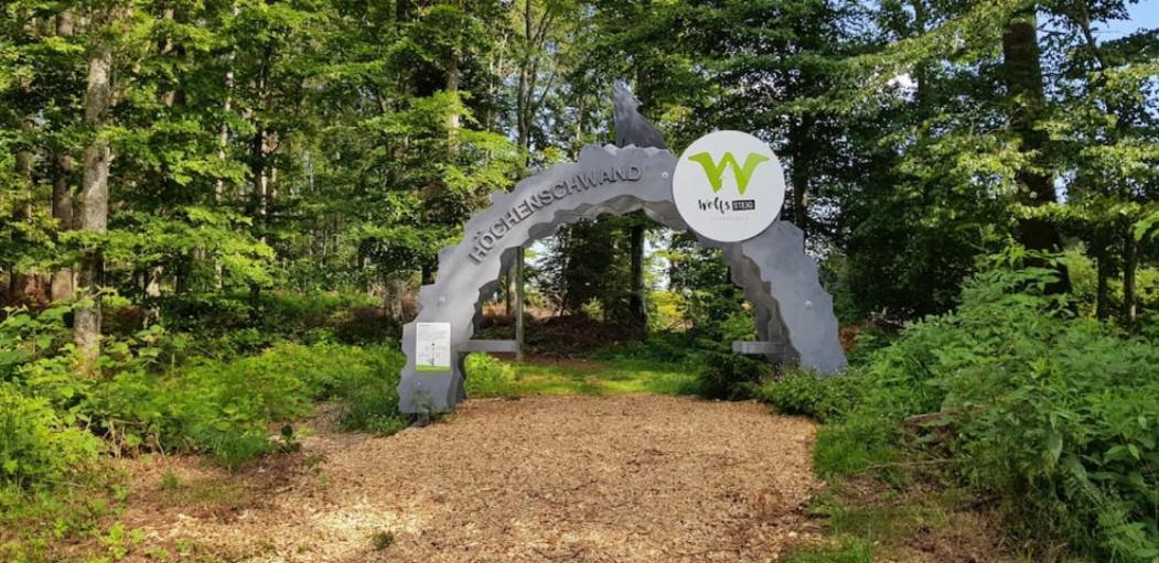 Appartamento Black Forest Schwarzwaldblick Indoorpool Natur Ruhe Komfort Höchenschwand Esterno foto